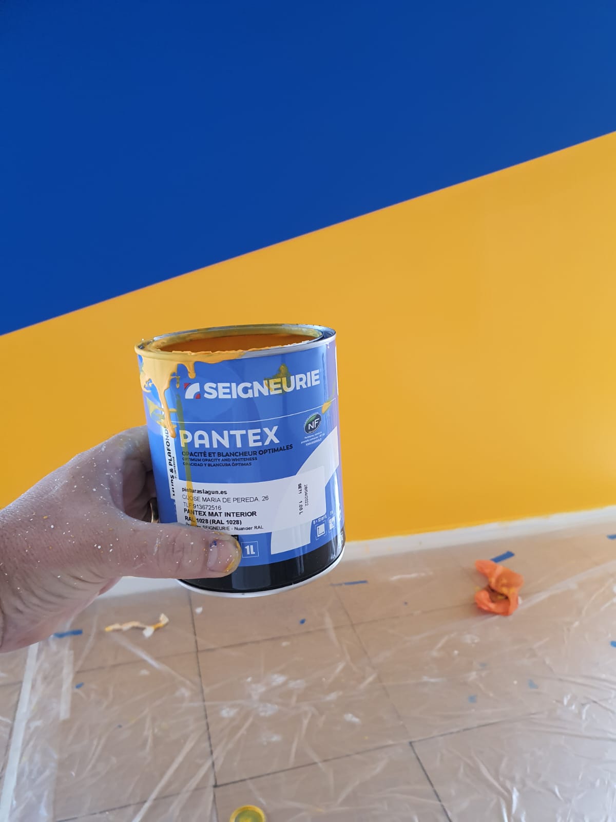 Pantex colores