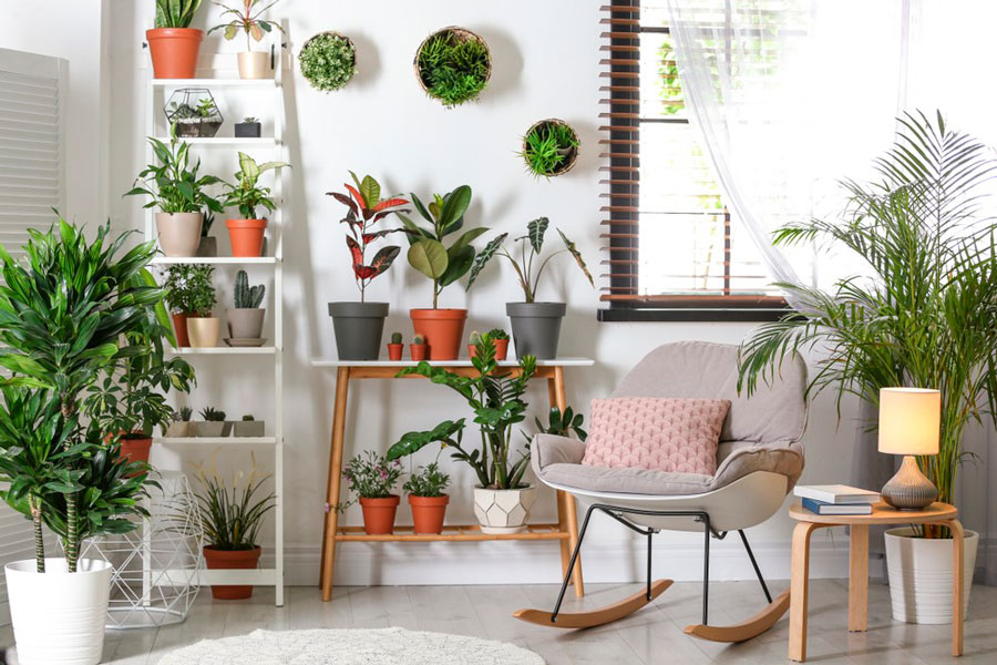decoracion pintura ecologica