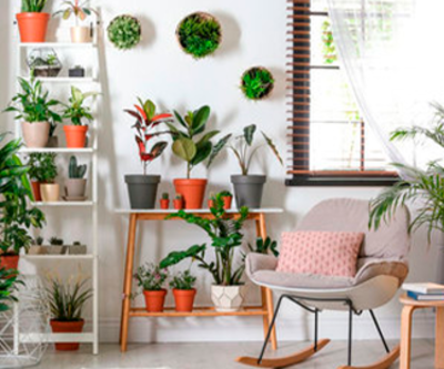 Decoración y pintura ecológica, dos claves en la sostenibilidad de tu hogar